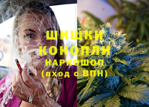 spice Алексин
