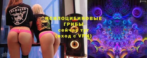 прущие крисы Абинск