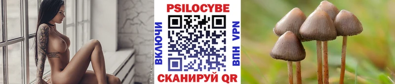 Галлюциногенные грибы Magic Shrooms  Скопин 